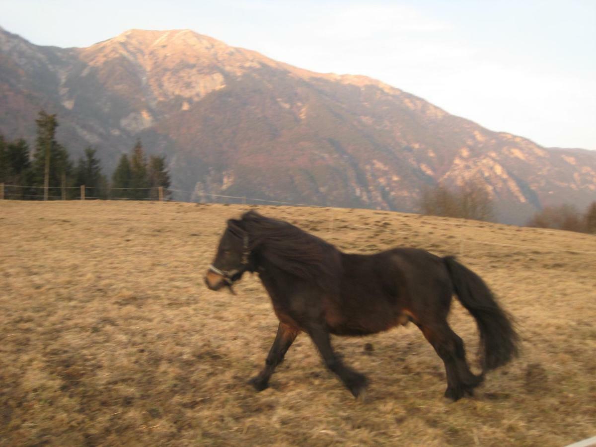 Haus Kaiser Passriach Esterno foto
